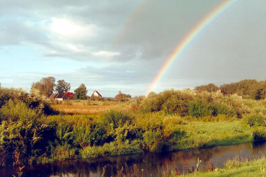 Vila Kalda Talu Tõlliste Exteriér fotografie